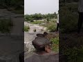 Yah Masalpur Ki Jhamari Hai