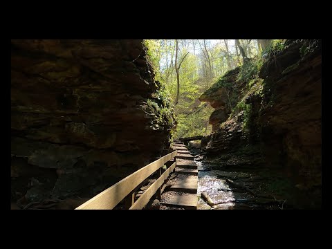 Klingenberg nach Kleinheubach über die Seltenbachschlucht