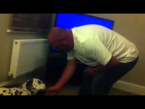 William Mulligan's Suspicious Mind