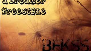 FREESTYLE TO DREAMER BY ACE HOOD