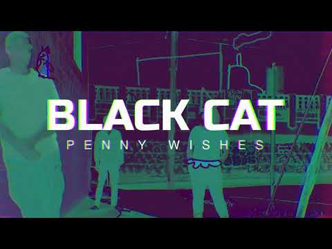 Penny Wishes - Black Cat (Lyric Video)