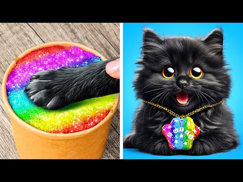 Take Care of a Lost Kitten 😻 | Hacks and Tips that Good Pet Owners Love🤩