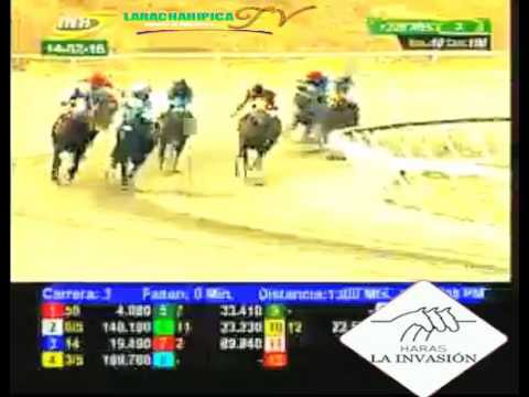 LA RINCONADA 3 CARRERA, DOMINGO 14 DE FEBRERO DEL 2016