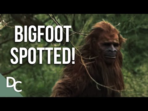 Shocking Bigfoot Sighting Evidence! | Bigfoot Encounters | Full HD | Documentary Central