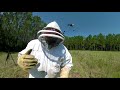 Huge Bumblebee nest treatment! BUMBLEBEES ATTACK!!