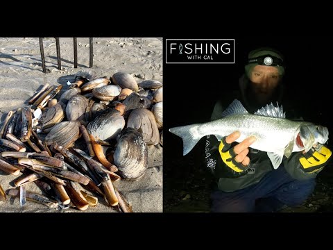BAIT DIGGING & BASS FISHING | GAPER CLAM | RAZOR CLAM | BASS