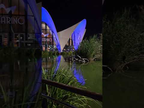 #feliznavidad desde el #oceanografic de #Valencia y su  extraordinario #retaurantesubmarino