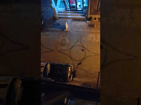 Det är helt normalt för oss och djurfiender att vara fiender, kära, bravokatter #gorgeouskykhan #mp3