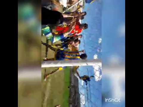 Colegiales campeón en inferiores