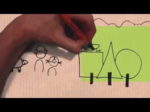 Wat is een Tiny Forest? - Animatie