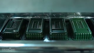 Упаковка блистер для рыболовных приманок