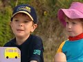 Noggin S Field Trip A Field Trip To The Beach The Wiggles