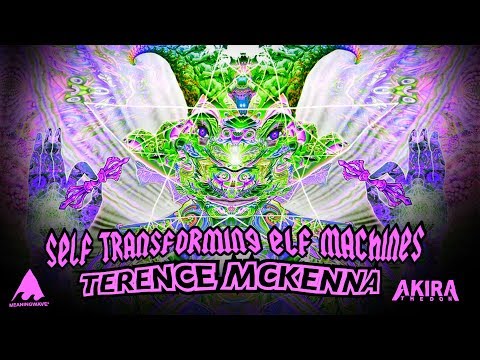 Terence McKenna - Self Transforming ELF MACHINES | Meaningwave | Akira The Don