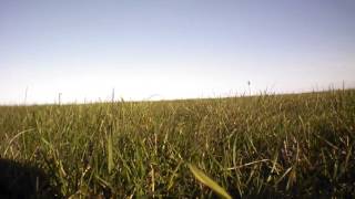 AR.Drone Flight Video: video_20120421_182351.mov