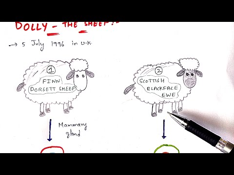 Tissue engineering Technique Procedure Bio science