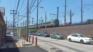 ZOO CURVE ACTION PT 2