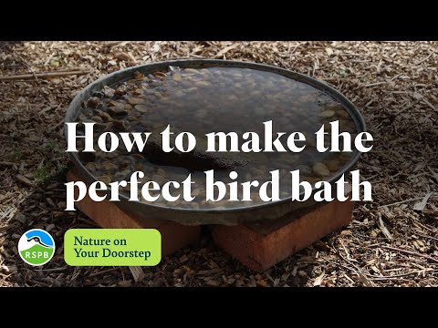 How to make the perfect bird bath | RSPB Nature on Your Doorstep