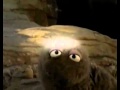 Sesame Street In Search Of Fish