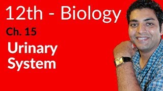 Fsc Biology Book 2 - Urinary System - Ch 15 Homeostasis - 12th Class Biology