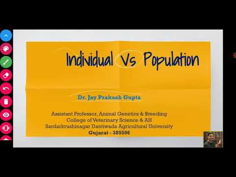 Individual Vs Population (Introduction to Population Genetics)