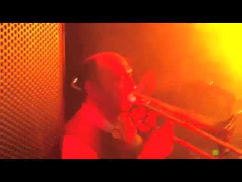 Die Vögel Live (Stage Diving) / Tage wie dieser 2011