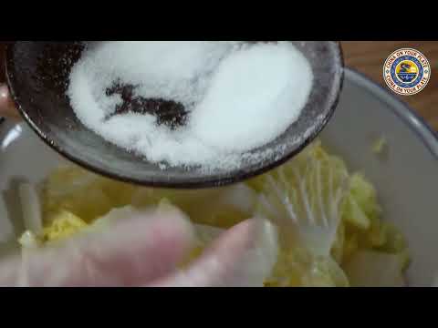 Gourmet Kimchi ✨ The Ultimate Spicy Korean Superfood