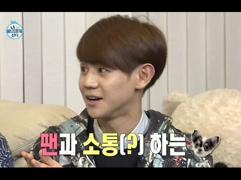 【TVPP】Yoseob(BEAST) - Fan cafe of Yoseob's petdog, 요섭(비스트) - 양갱이 팬카페가 생기다? @ I live Alone