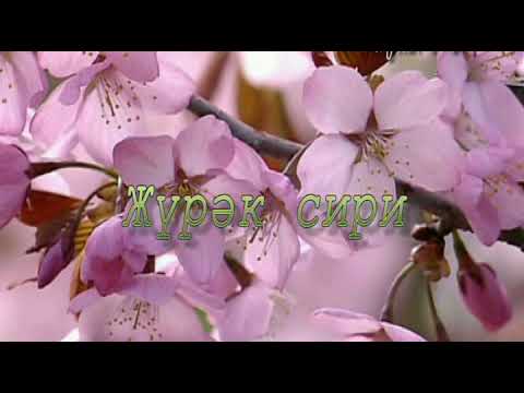 Уйгурская песня ,,Жүрәк сири" Шерипжан Сетбакиев