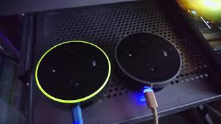 Amazon Echo dot. green halo ring what is it??