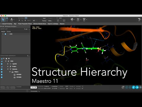 Maestro 11 - Structure Hierarchy