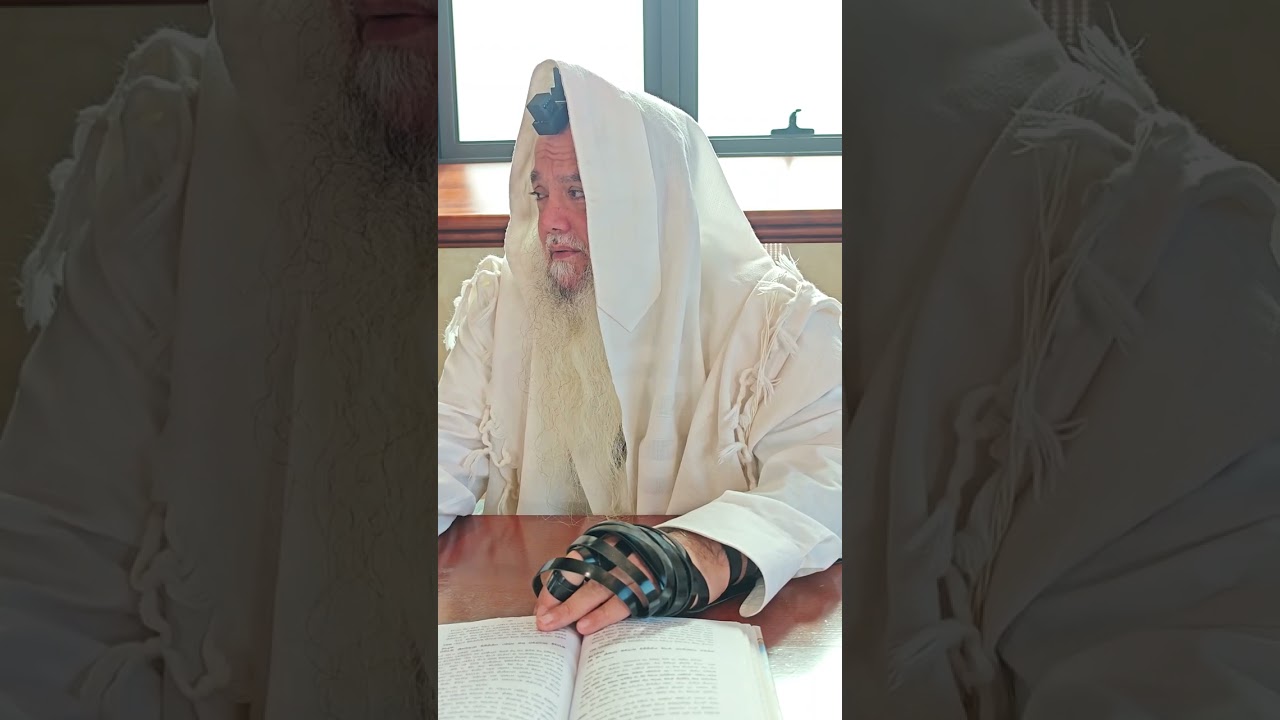 שער הביטחון | סבב שני - פרק 139