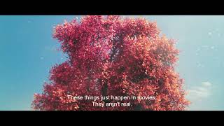 LAND OF THE DEAD DEER (15') Anahita Qarcheh, Soroush Javadzadeh / Iran 2025