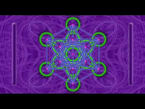 Punchline - New reality