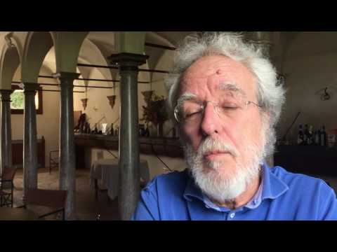 Alberto Passi, nuove professionalità per le ville venete