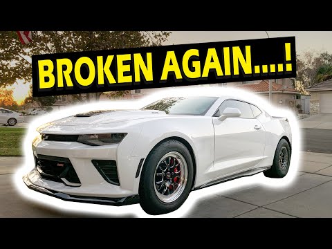 What Happened to Lethal? Lethal Camaro End of 2019 Update!