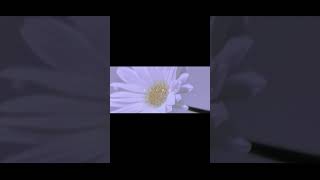 【#だから僕は音楽を辞めた】【#ヨルシカ】【#shorts】【#永久機関】  #だから僕は音楽を辞めた      #ヨルシカ プロフよりYouTube fullへ飛べます！ #初音ミク #anime