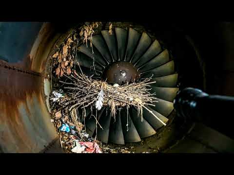 Abandoned for 50 Years: Full Restoration of a Supersonic Interceptor