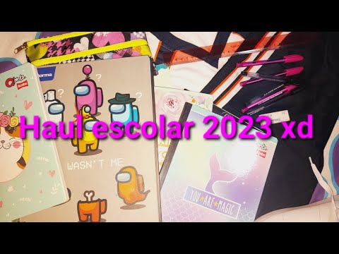 Haul escolar 2023 xd? escuela aesthetic school haul