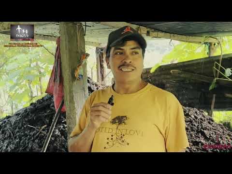 Documental Caserío Piedra Redonda, Tajumulco San Marcos 