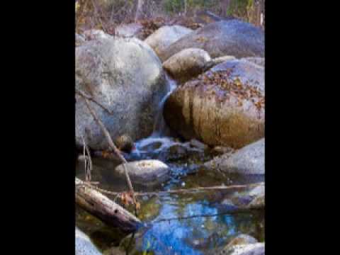 (Anatal.E.D.H) Piano Trio No.2  2nd Largo con pesante 1/2