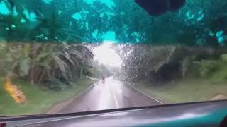 Disini dibatas Kota ini - Tommy J. Pisa||Vanny Vabiola (Cover)