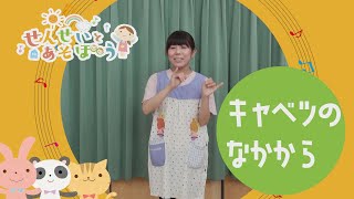 【せんせいとあそぼう】キャベツのなかから／ゆり先生