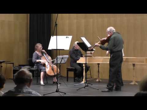 Biber, Partita VII for 2 violas d'amore and basso