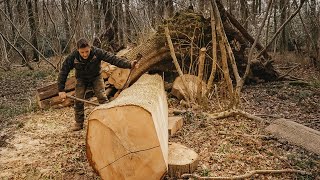 The Ash Tree is Finished! Off Grid Building Project in the Woods