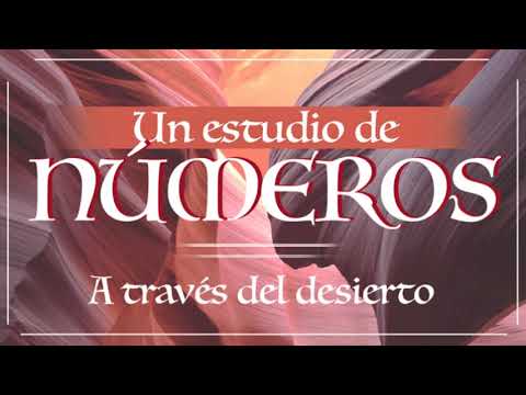 Números 16 || La realidad del rebelde