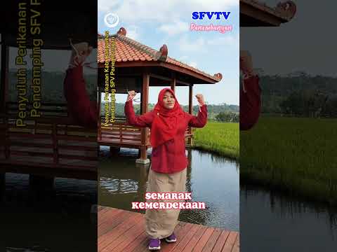 Semarak Kemerdekaan Dirgahayu ke 78 Republik Indonesia, Svarga Mina Padi SFV Panembangan