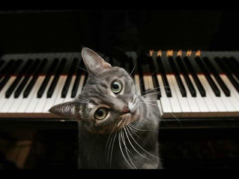 Nometne Gulbene 2016-Пианист Arturs.A