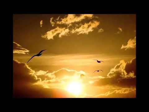 Poema : Marcos Brasil  , Filha