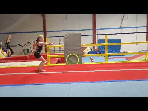DP Gymnastics - Christmas Competition - Level 6 / Adv Rec 1