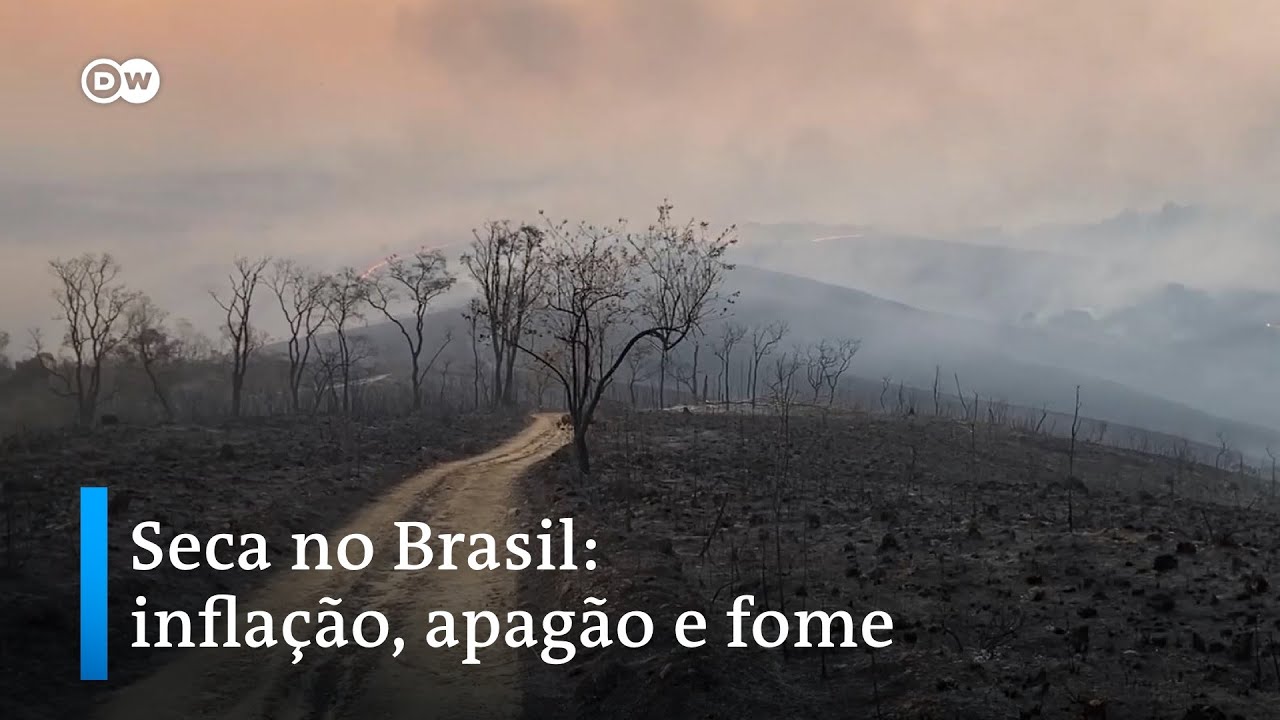 As consequências dramáticas de uma das piores secas do Brasil